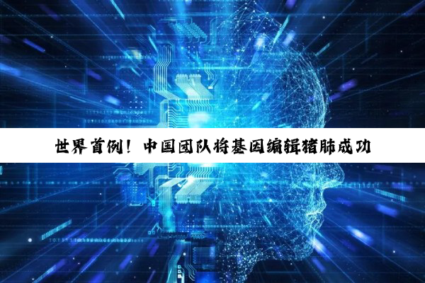 世界首例！中国团队将基因编辑猪肺成功移植人体