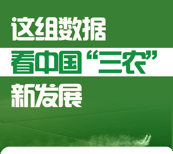 这组数据，看中国“三农”新发展